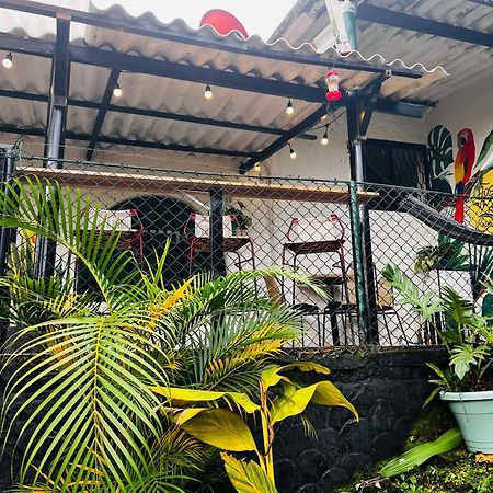 Casa Blanca Hostal Minca Exterior photo