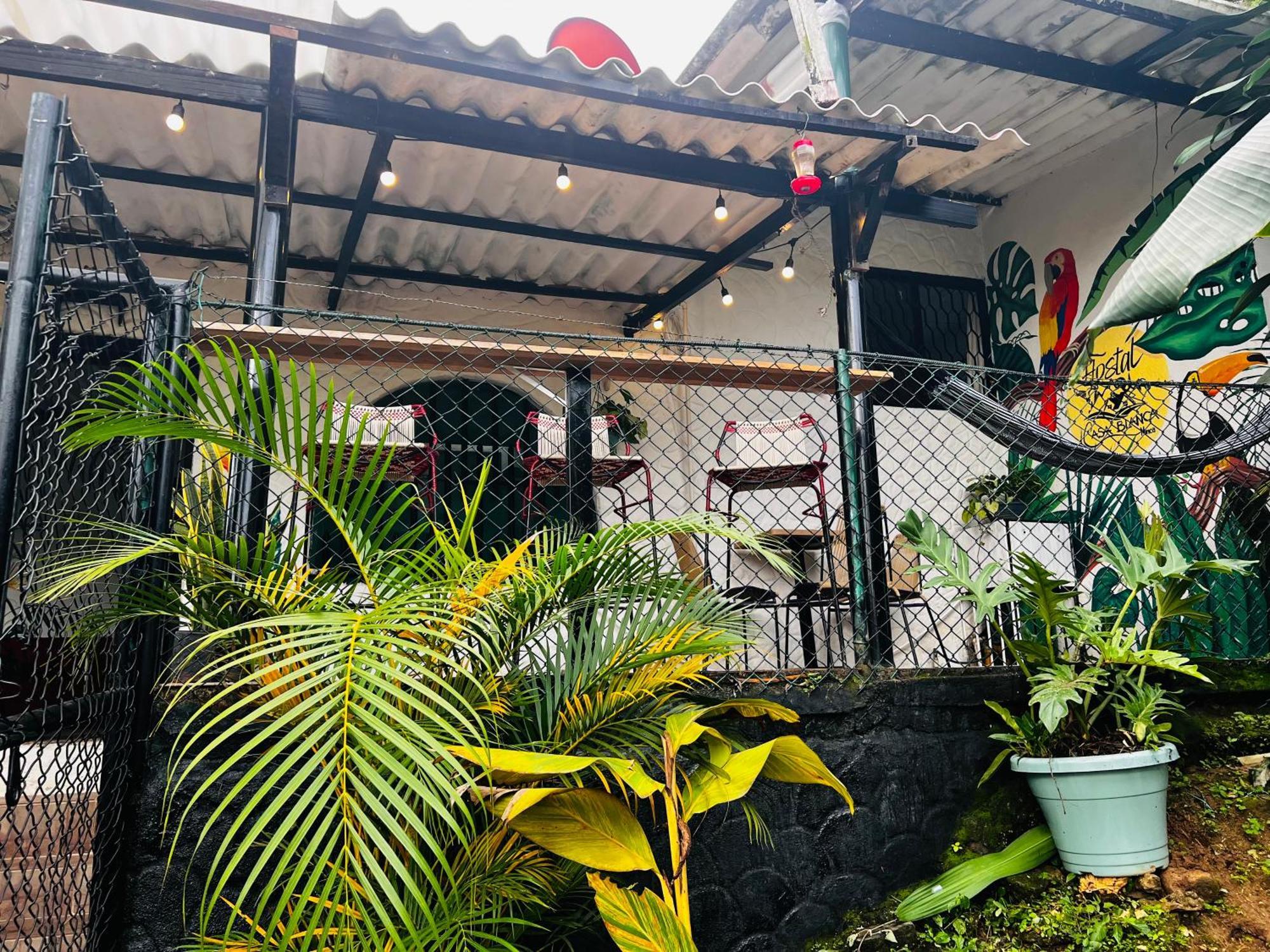 Casa Blanca Hostal Minca Exterior photo